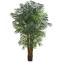 7ft. Potted Areca Palm Tree 