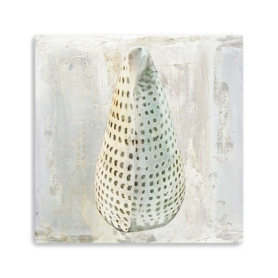 Shells II Canvas Giclee