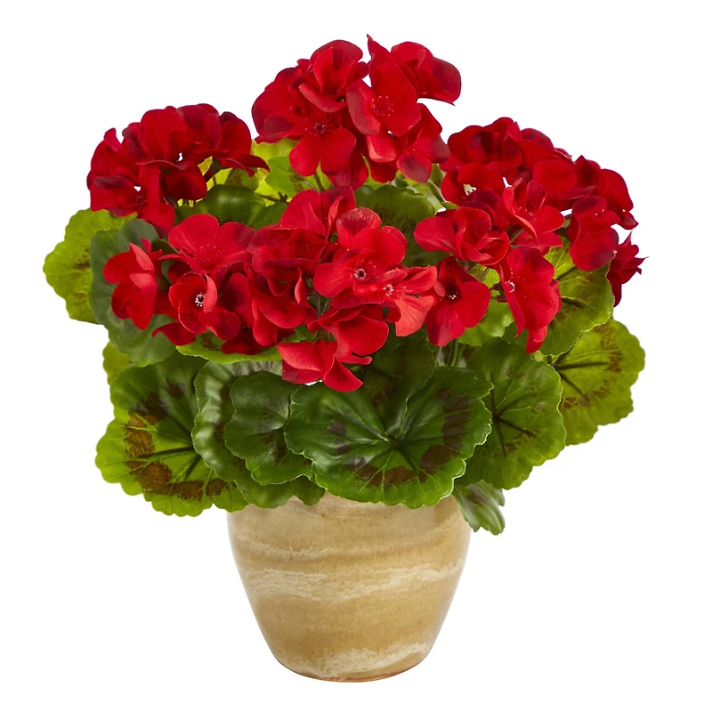 11'' Red Geranium in Ceramic Planter