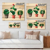 Designart - Three Cactus In Clay Pots