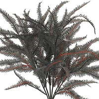 16" Black Dripping Boston Fern Bush by Ashland®