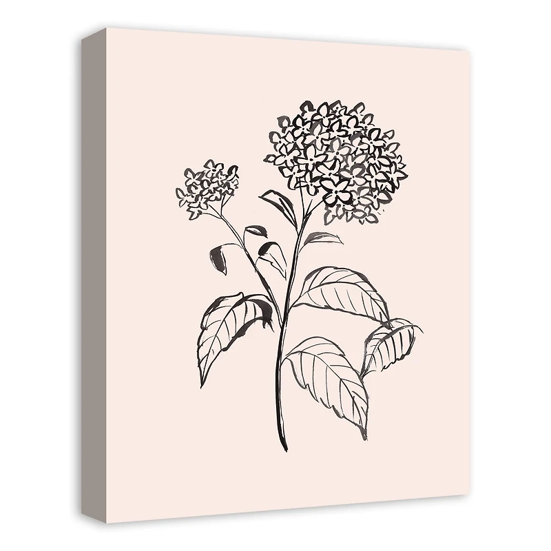 Hydrangeas On Blush 16" x 20" Canvas Wall Art