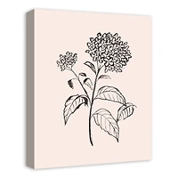 Hydrangeas On Blush 16" x 20" Canvas Wall Art