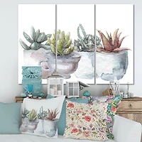 Designart - Cactus and Succulent House Plants IV