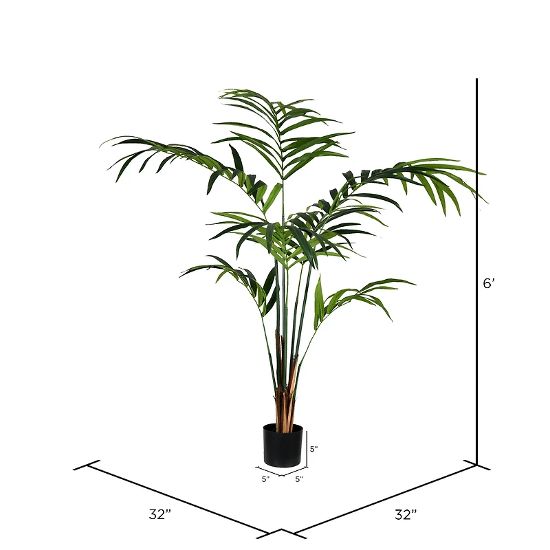 6ft. Potted Kentia Palm