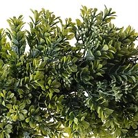 12 Pack: 22" Boxwood Wreath by Ashland®