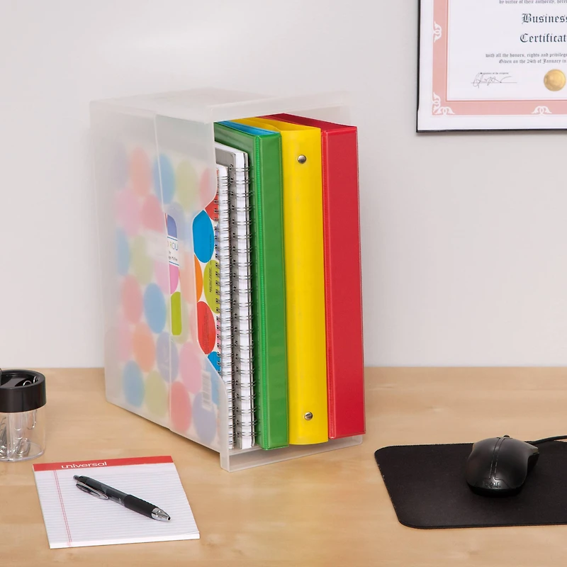 IRIS® Medium Open Top Plastic File Box