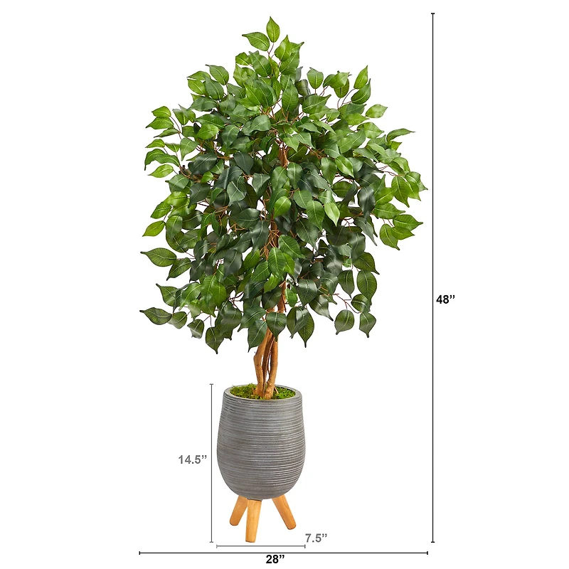 4ft. Ficus Tree in Gray Planter with Stand