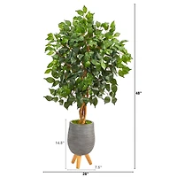 4ft. Ficus Tree in Gray Planter with Stand