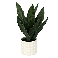 15.5" Snake Plant in White Bubble Pot by Ashland®