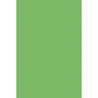 Pacon® Spectra® Art Tissue™ 20" x 30" Spring Green Sheets, 24ct.