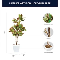 American Art Decor 4ft. Croton Tree in White Ceramic Pot