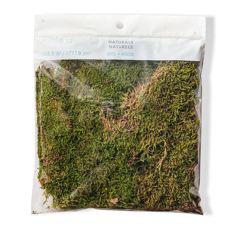 12 Pack: Forest Green Preserved Moss by Ashland®