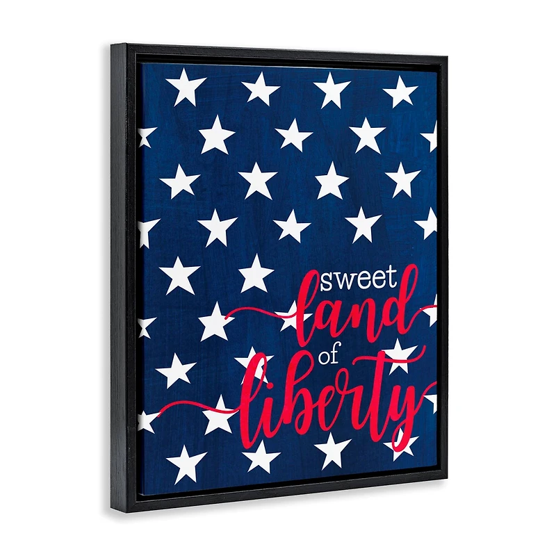 Stupell Industries Sweet Land Of Liberty Americana Floater Framed Art