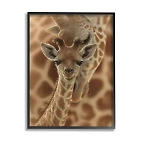 Stupell Industries Baby Giraffe with Mother Patterned Safari Animal Hug Framed Wall Art