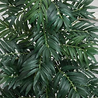 5.5ft. Bamboo Palm Plant in Decorative Planter