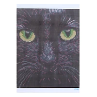 8" x 10" Black Cat Glow-in-the-Dark Diamond Art Kit with Magnetic Frame by Make Market®