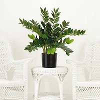 28" Artificial Zamioculcas Plant with Decorative Planter