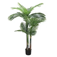 5ft. Potted Areca Palm Tree