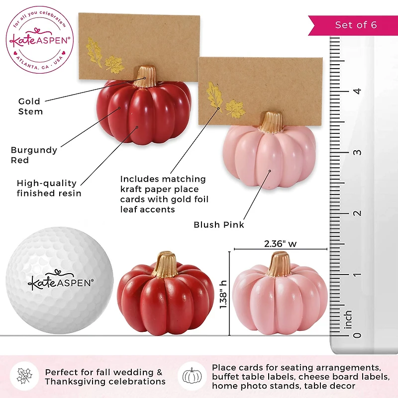 Kate Aspen Burgundy & Blush Pink Pumpkin Place Card Holder 6 ct.