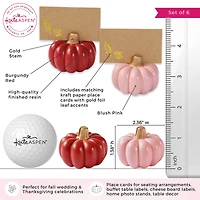 Kate Aspen Burgundy & Blush Pink Pumpkin Place Card Holder 6 ct.
