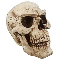 Design Toscano Sinister Simon Giant Skull Sculpture