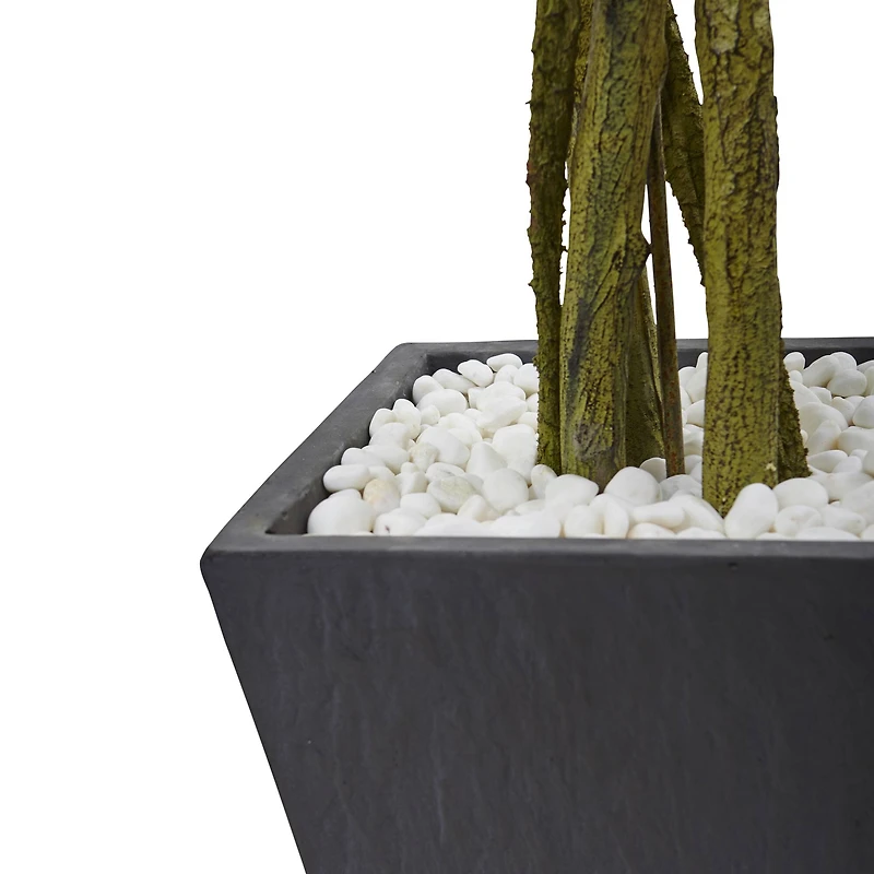 6.5ft. UV Resistant Ficus Artificial Tree in Slate Planter