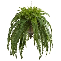 3ft. Boston Fern Plant in Metal Hanging Bowl