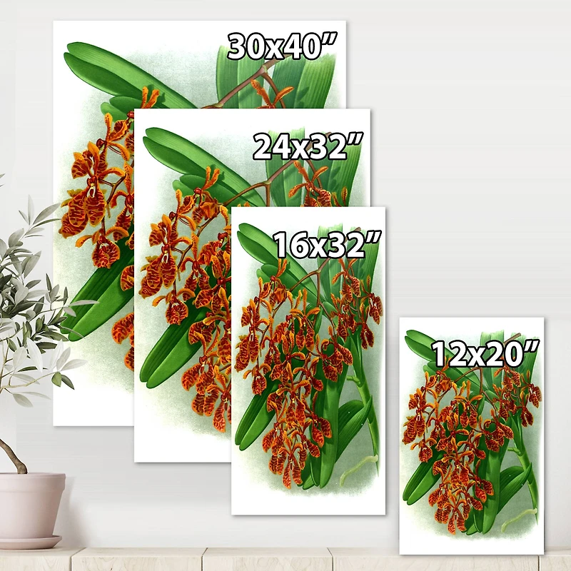 Designart - Retro Flowers II