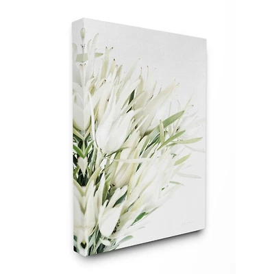 Stupell Industries White & Green Bright Natural Flower Photograph Wall Accent