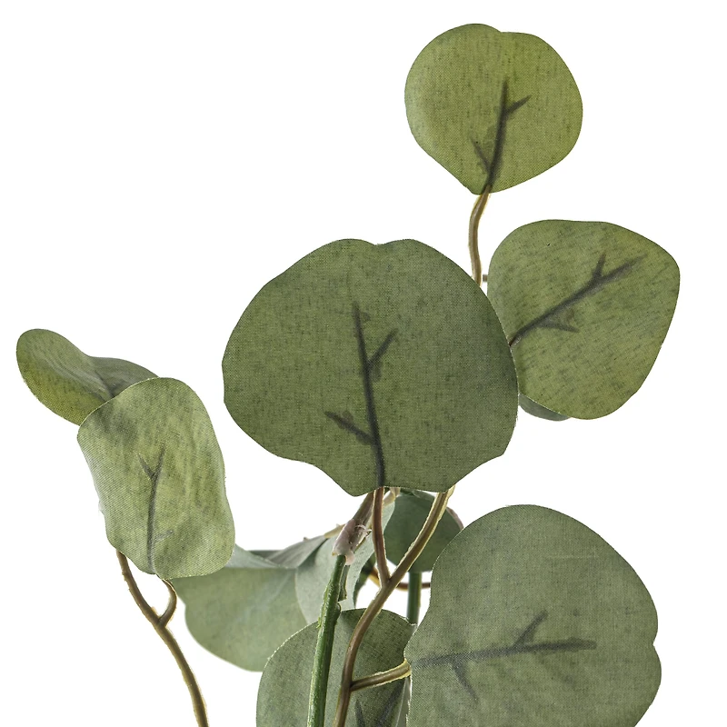 6ft. Eucalyptus Garland by Ashland®