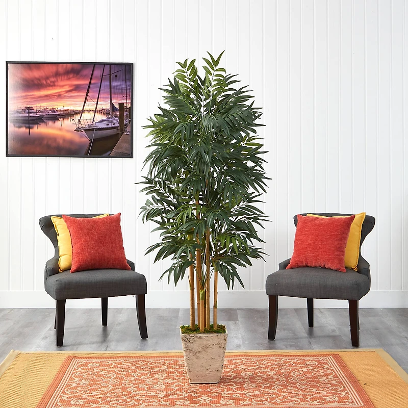 6ft. Phoenix Palm Tree in Country White Planter