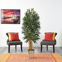 6ft. Phoenix Palm Tree in Country White Planter