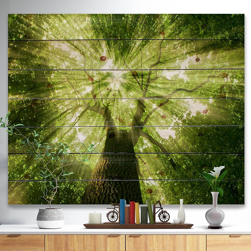 Designart - Sunlight Peeking through Green Tree