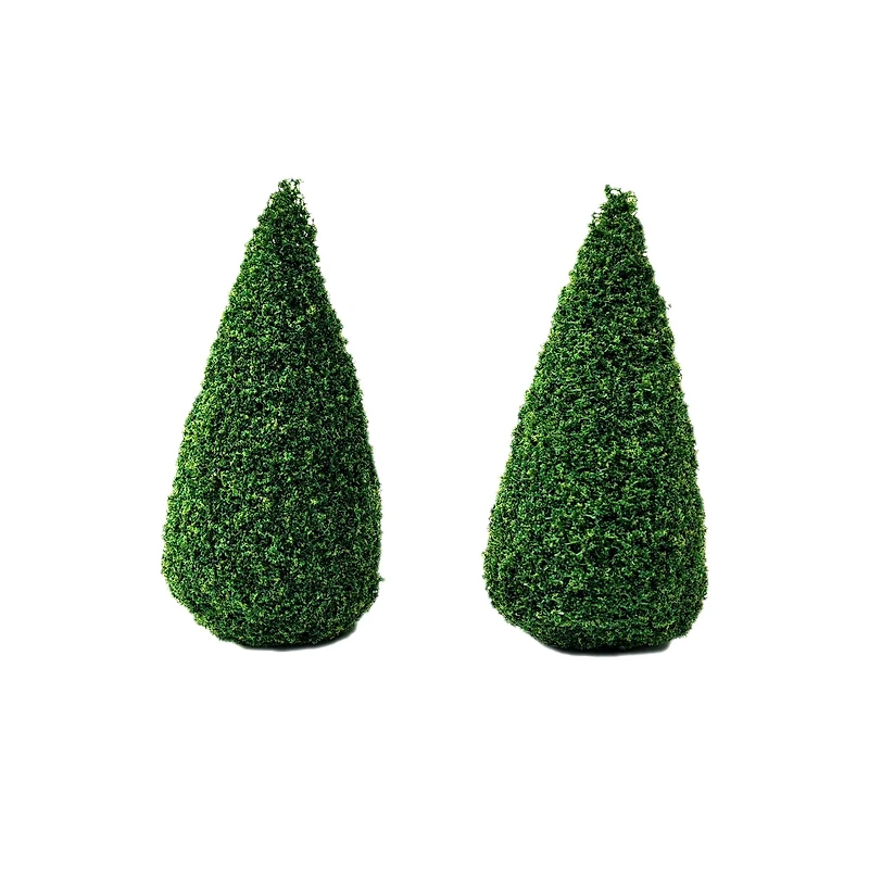 Miniature Boxwood Shrubs, 2ct. by Make Market®