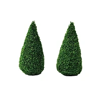 Miniature Boxwood Shrubs, 2ct. by Make Market®