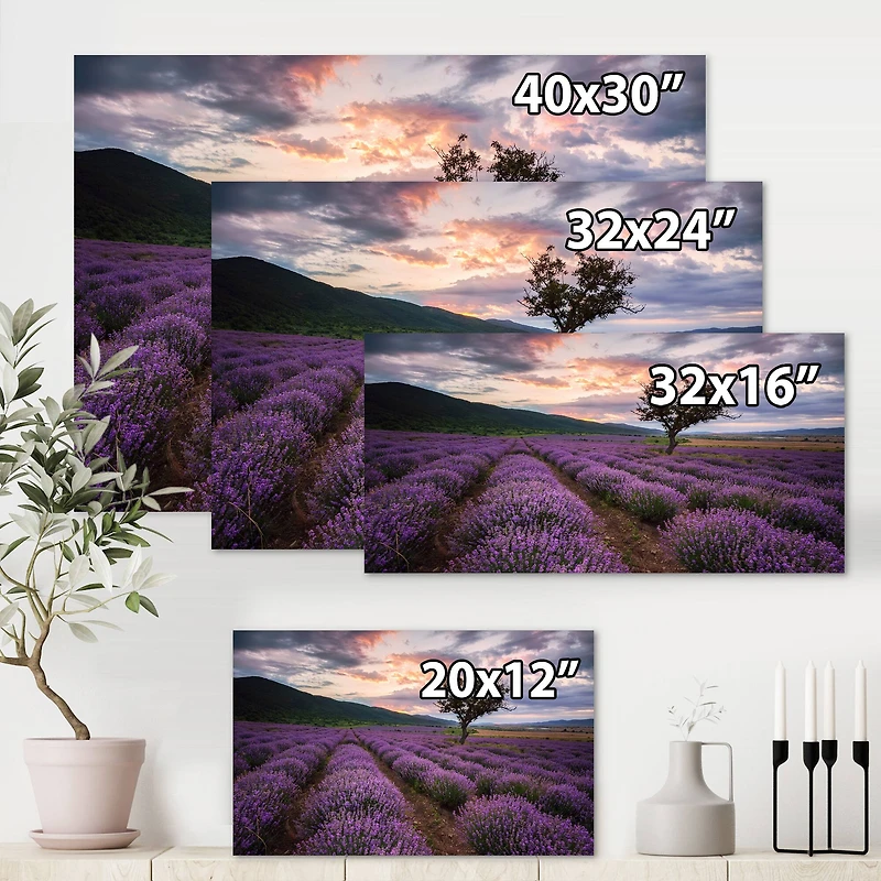 Designart - Lavender Field At Dawn III