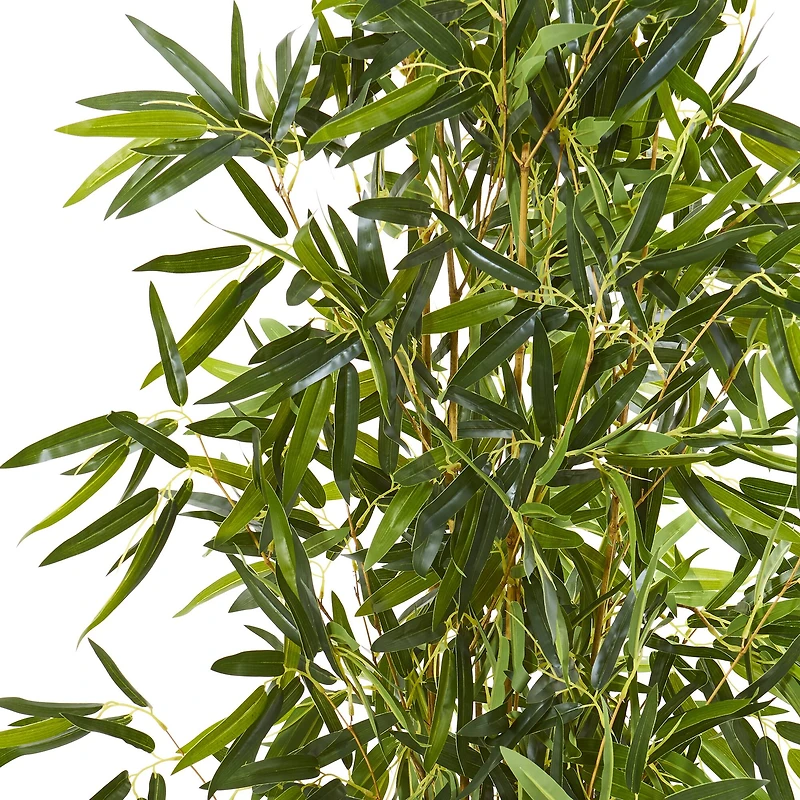 4ft. Potted Bamboo Tree