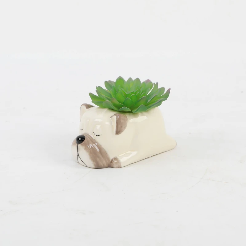 Flora Bunda® 5.5" Green Succulent in Ceramic Pug Planter