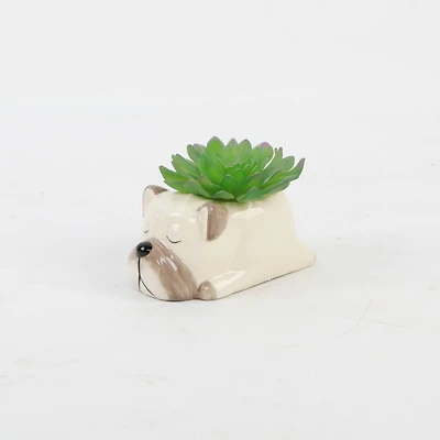 Flora Bunda® 5.5" Green Succulent in Ceramic Pug Planter