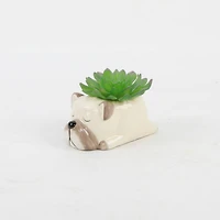 Flora Bunda® 5.5" Green Succulent in Ceramic Pug Planter