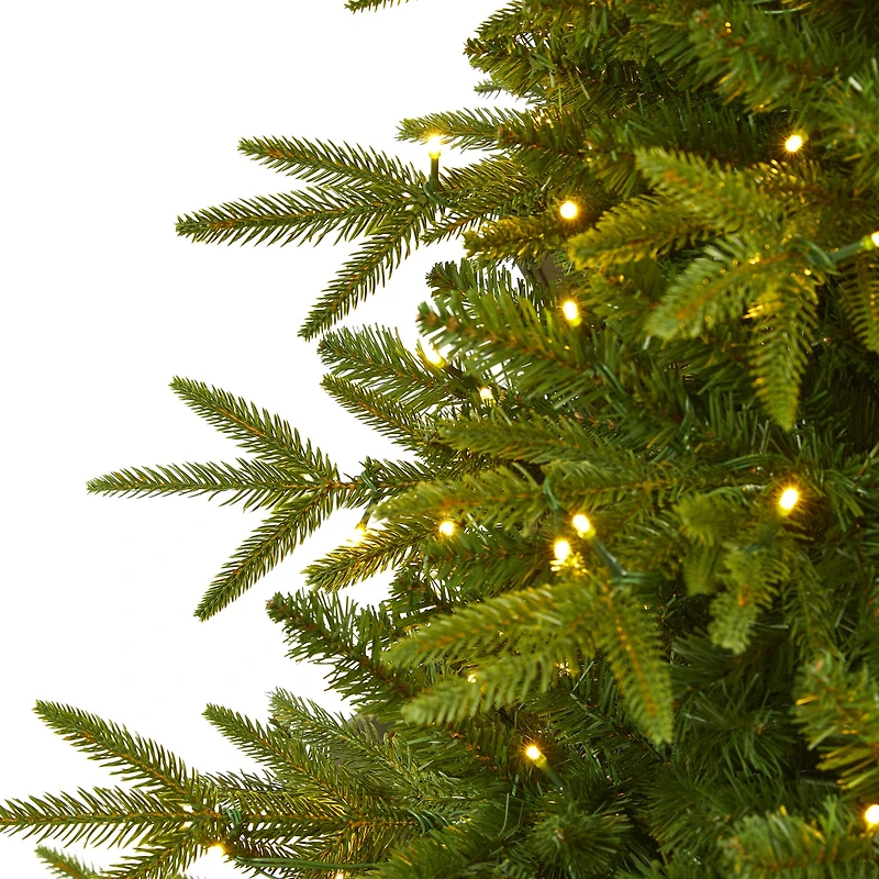6ft. Pre-Lit Colorado Mountain Fir Artificial Christmas Tree, Clear LED Lights