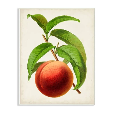 Stupell Industries Vintage Fruit Peach Painting, 10" x 15"