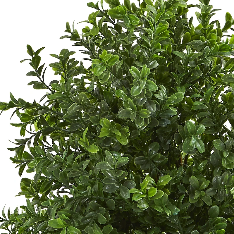 23" Sweet Grass in Basket