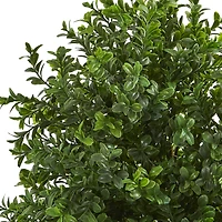 23" Sweet Grass in Basket