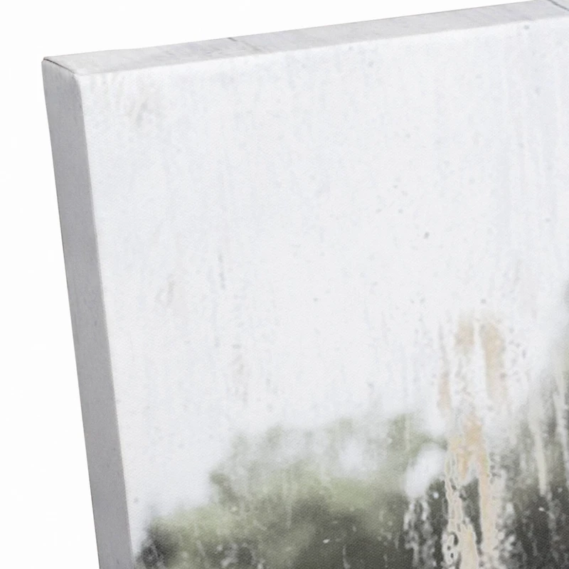 Shaggy Cow 24" x 24" Canvas Wall Art