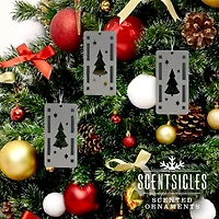 Scentsicles® Bottle, Stick, and White Winter Fir Trio Ornament Set