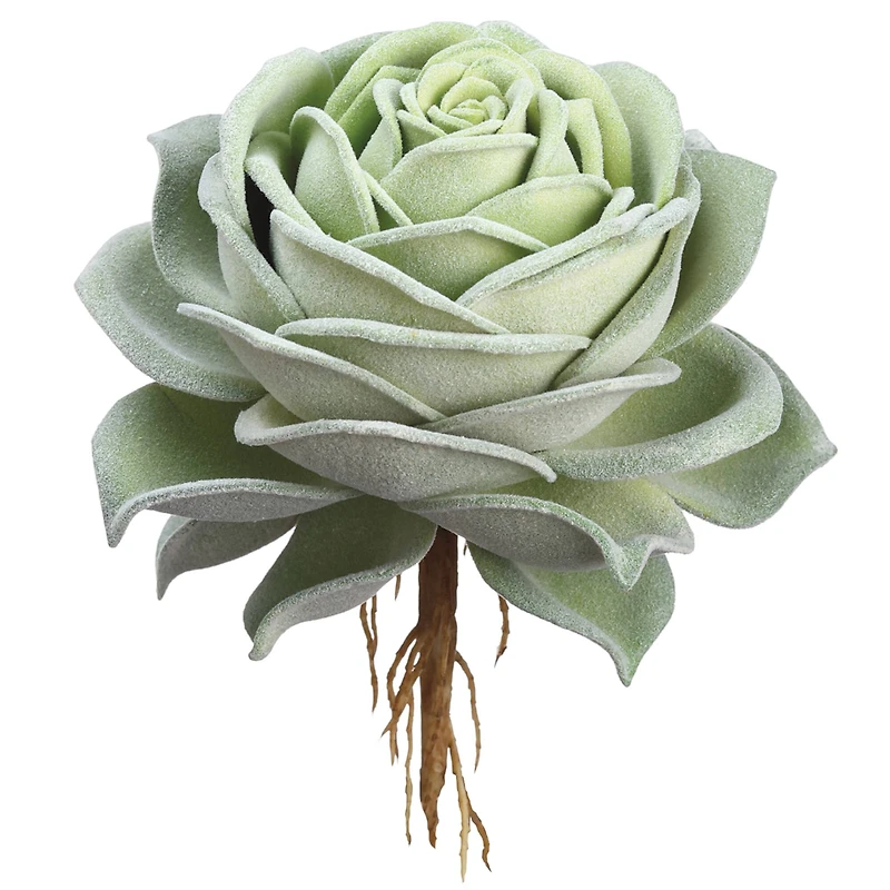 6.3" Green Rose Echeveria Pick 