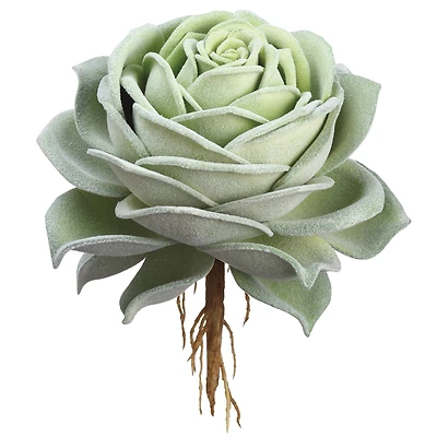 6.3" Green Rose Echeveria Pick 