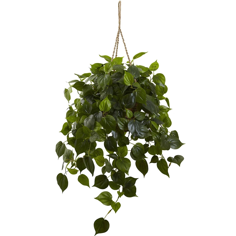 3ft. Philo Plant Hanging Basket